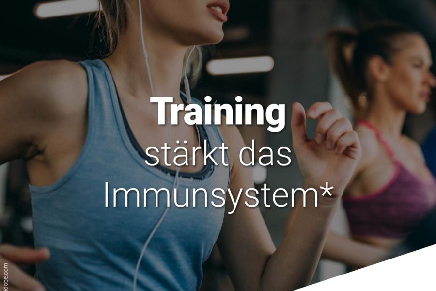 immunsystem-staerken